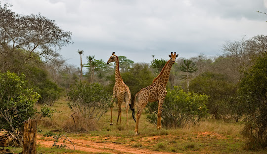 Kisama National Park