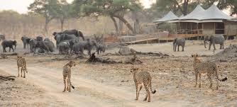Hwange National Park