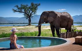 Rêve Safaris Gallery